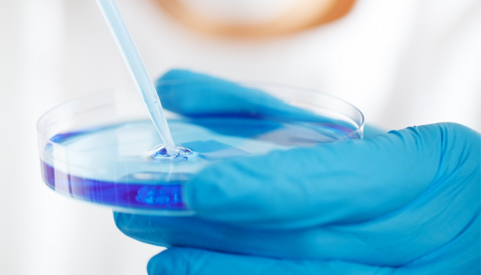 美國CPSC修訂鄰苯二甲酸酯的管控要求