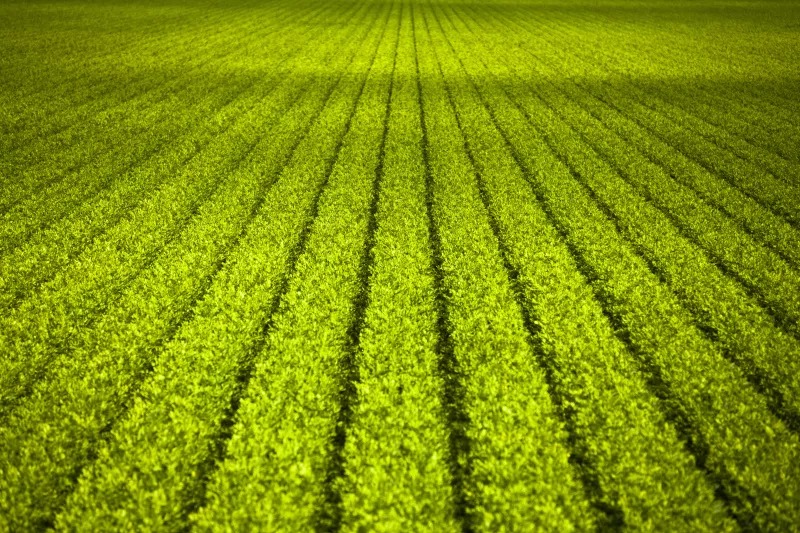 打好凈土保衛(wèi)戰(zhàn),沃特「土壤環(huán)境監(jiān)測」介紹