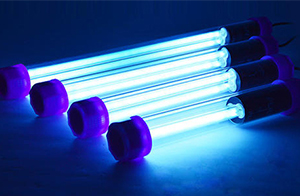 618拍了拍你，這些“疫”外走紅的小家電不要過分迷信