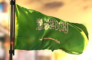 沙特更新SASO IECEE認可證書的海關編碼要求