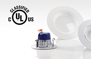 UL1598C LED改裝式替換件，標簽和說明書怎么寫？