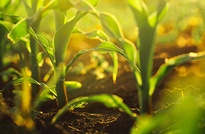 痛心！“酸湯子”致8人死亡，還有這些食品安全事件值得警惕！