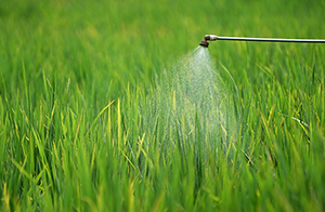 歐盟擬將毒死蜱加入持續(xù)性有機(jī)污染物（POPs）清單