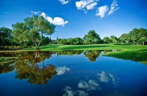 如何打造綠色供應(yīng)鏈？沃特成功舉辦專題研討會助力企業(yè)積極應(yīng)對國內(nèi)外環(huán)保法規(guī)要求