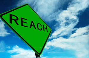 ECHA提議對(duì)2,4-二硝基甲苯進(jìn)行限制