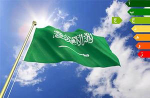 沙特照明產(chǎn)品能效要求2021版修訂