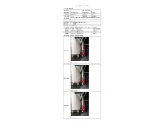 WTF20F06041070H 2022 公示信息