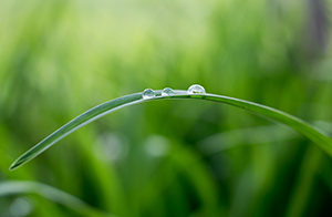 中國生態(tài)環(huán)境部發(fā)布重點管控新污染物清單（2023年版）