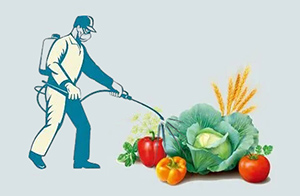 明日實(shí)施丨GB 2763.1-2022 食品中農(nóng)藥最大殘留限量國家標(biāo)準(zhǔn)增補(bǔ)版