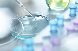 快訊！5項(xiàng)物質(zhì)被提議列入REACH授權(quán)清單中