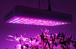 DLC認(rèn)證關(guān)于Hort V3.0、SSL QPL的更新提醒！