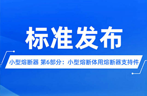 標(biāo)準(zhǔn)換版丨關(guān)于小型熔斷體用熔斷器支持件產(chǎn)品認(rèn)證執(zhí)行新版標(biāo)準(zhǔn)和認(rèn)證規(guī)則的通知