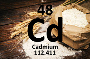 佛山沃特參加CTIPT-0424014小麥粉中鎘的測(cè)定能力驗(yàn)證 獲“滿意”結(jié)果