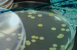 佛山沃特參加IERM T25-82水質(zhì)菌落總數(shù)檢測(cè)能力驗(yàn)證 獲“滿意”結(jié)果