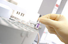 鄰苯二甲酸鹽測試